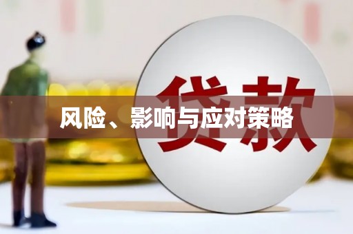 阳春风险、影响与应对策略