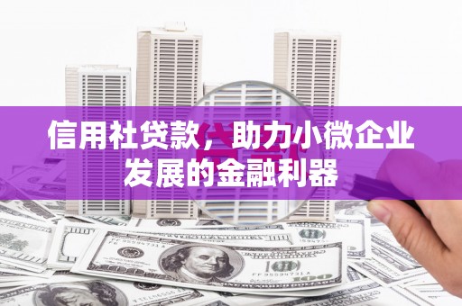阳春信用社贷款，助力小微企业发展的金融利器