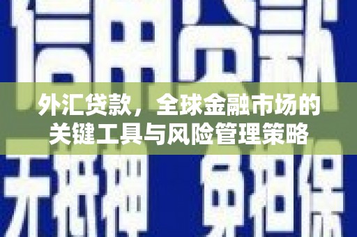 阳春外汇贷款，全球金融市场的关键工具与风险管理策略