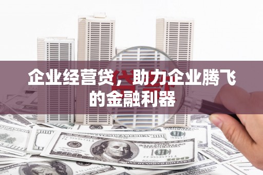 阳春企业经营贷，助力企业腾飞的金融利器