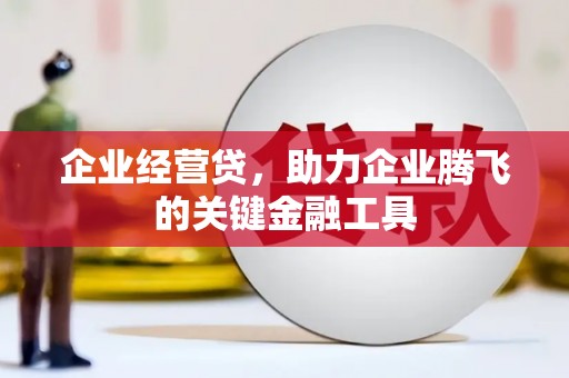 阳春企业经营贷，助力企业腾飞的关键金融工具