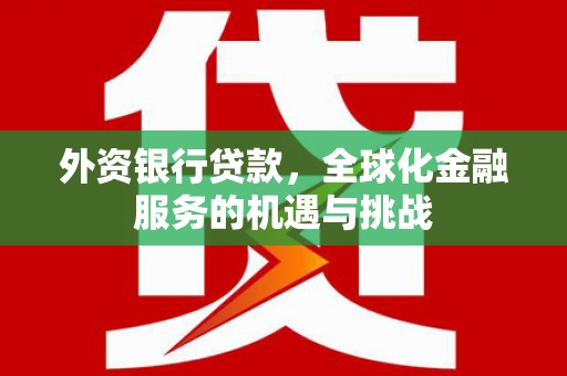 阳春外资银行贷款，全球化金融服务的机遇与挑战
