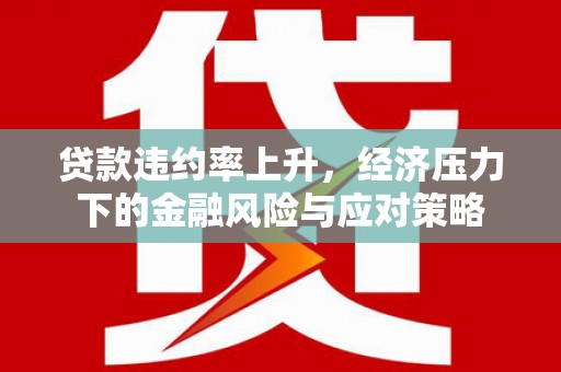 阳春贷款违约率上升，经济压力下的金融风险与应对策略