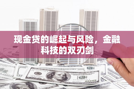 阳春现金贷的崛起与风险，金融科技的双刃剑