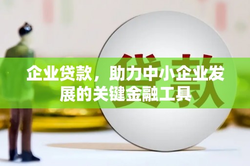 阳春企业贷款，助力中小企业发展的关键金融工具