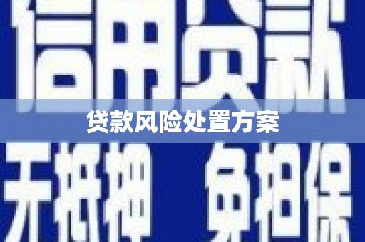 阳春贷款风险处置方案