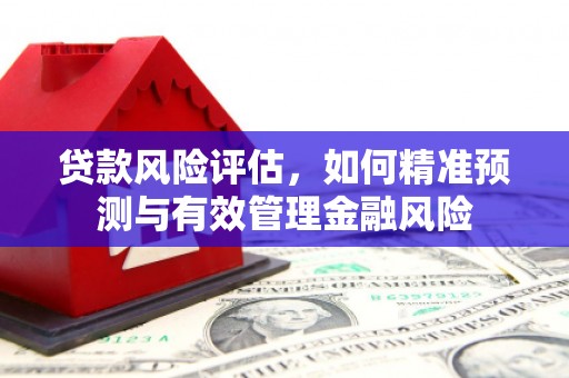 阳春贷款风险评估，如何精准预测与有效管理金融风险
