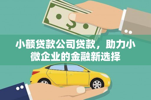阳春小额贷款公司贷款，助力小微企业的金融新选择