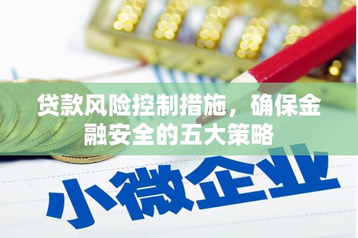 阳春贷款风险控制措施，确保金融安全的五大策略