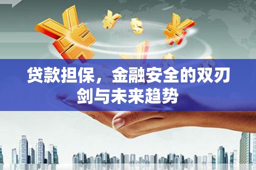 阳春贷款担保，金融安全的双刃剑与未来趋势
