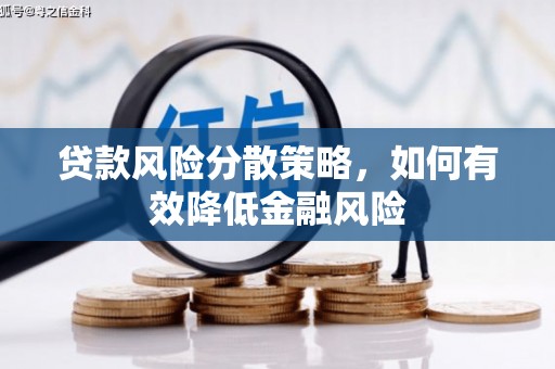 阳春贷款风险分散策略，如何有效降低金融风险