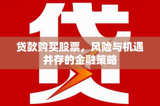 阳春贷款购买股票，风险与机遇并存的金融策略