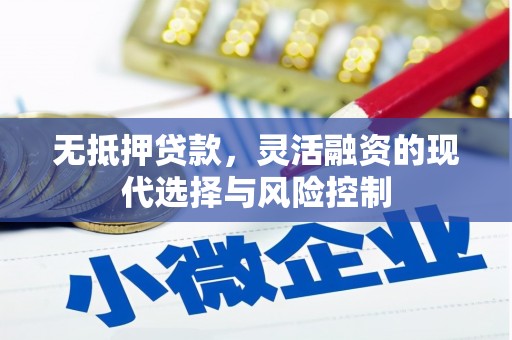 阳春无抵押贷款，灵活融资的现代选择与风险控制