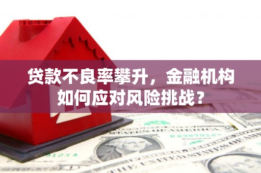 阳春贷款不良率攀升，金融机构如何应对风险挑战？