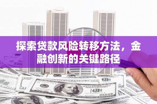 阳春探索贷款风险转移方法，金融创新的关键路径