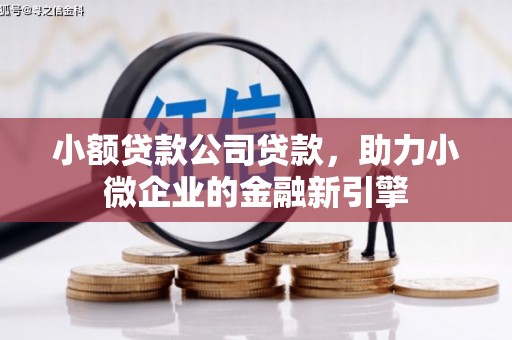 阳春小额贷款公司贷款，助力小微企业的金融新引擎