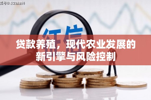 阳春贷款养殖，现代农业发展的新引擎与风险控制