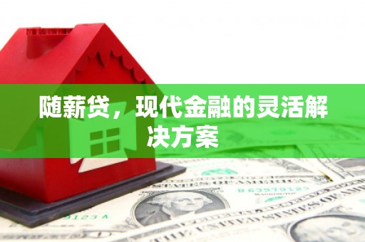 阳春随薪贷，现代金融的灵活解决方案
