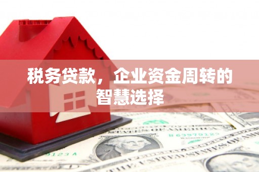 阳春税务贷款，企业资金周转的智慧选择