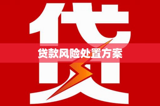 阳春贷款风险处置方案