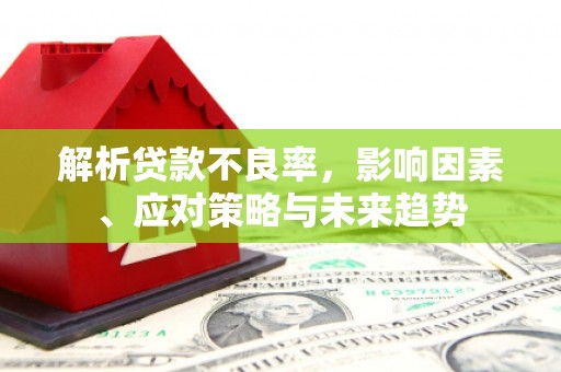 阳春解析贷款不良率，影响因素、应对策略与未来趋势