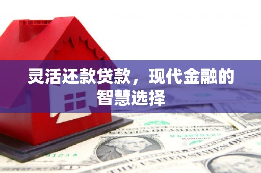 阳春灵活还款贷款，现代金融的智慧选择