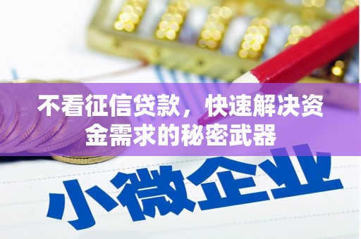 阳春不看征信贷款，快速解决资金需求的秘密武器