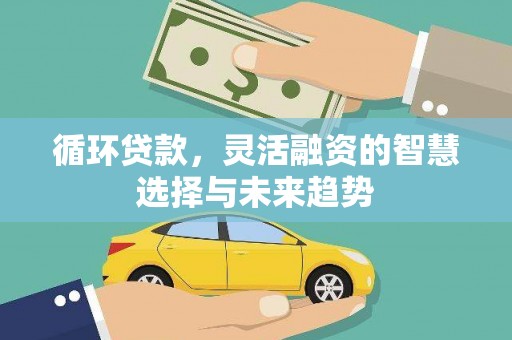 阳春循环贷款，灵活融资的智慧选择与未来趋势
