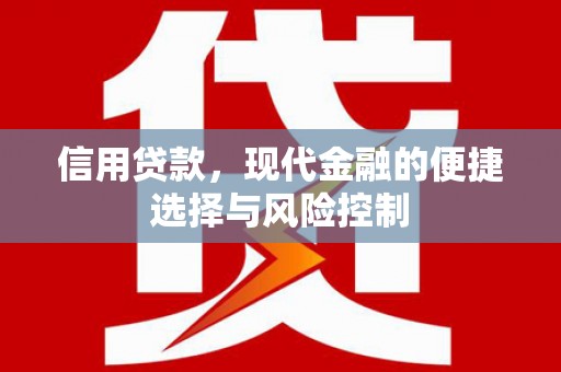 阳春信用贷款，现代金融的便捷选择与风险控制
