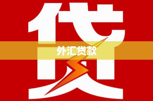 阳春外汇贷款