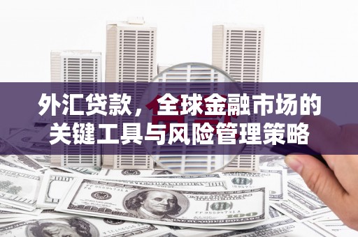 阳春外汇贷款，全球金融市场的关键工具与风险管理策略