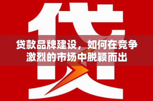 阳春贷款品牌建设，如何在竞争激烈的市场中脱颖而出