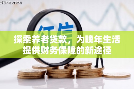 阳春探索养老贷款，为晚年生活提供财务保障的新途径