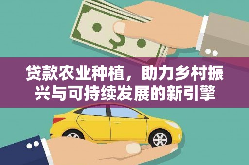 阳春贷款农业种植，助力乡村振兴与可持续发展的新引擎