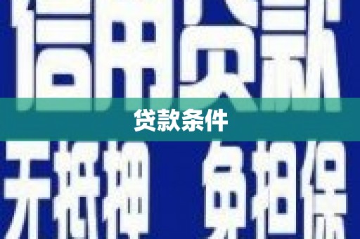 阳春贷款条件