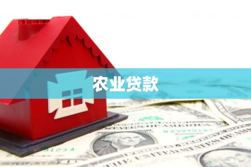 阳春农业贷款