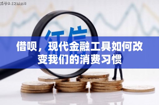 阳春借呗，现代金融工具如何改变我们的消费习惯