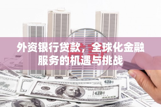 阳春外资银行贷款，全球化金融服务的机遇与挑战