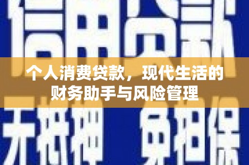 阳春个人消费贷款，现代生活的财务助手与风险管理