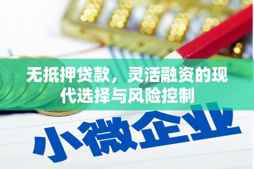 阳春无抵押贷款，灵活融资的现代选择与风险控制