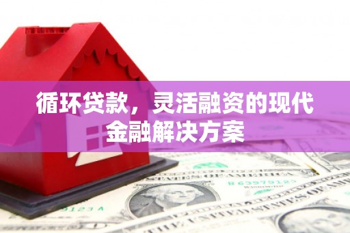 阳春循环贷款，灵活融资的现代金融解决方案