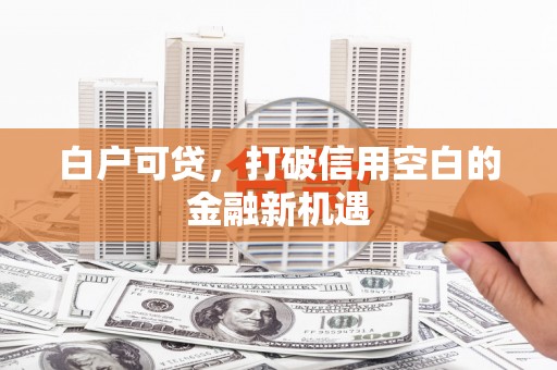 阳春白户可贷，打破信用空白的金融新机遇