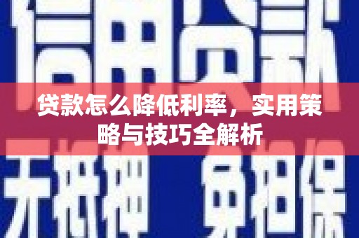 阳春贷款怎么降低利率，实用策略与技巧全解析