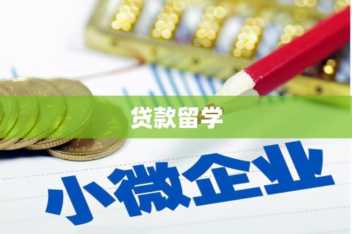 阳春贷款留学