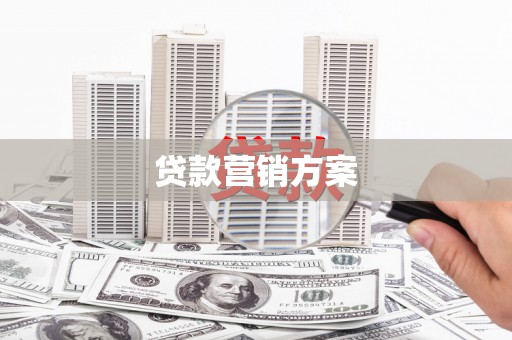 阳春贷款营销方案