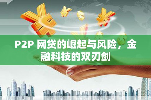 阳春P2P 网贷的崛起与风险，金融科技的双刃剑