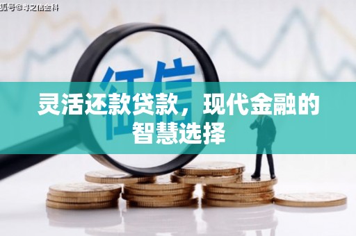阳春灵活还款贷款，现代金融的智慧选择