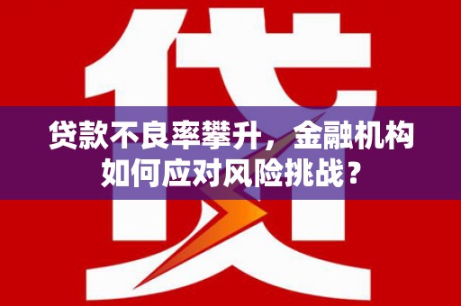 阳春贷款不良率攀升，金融机构如何应对风险挑战？