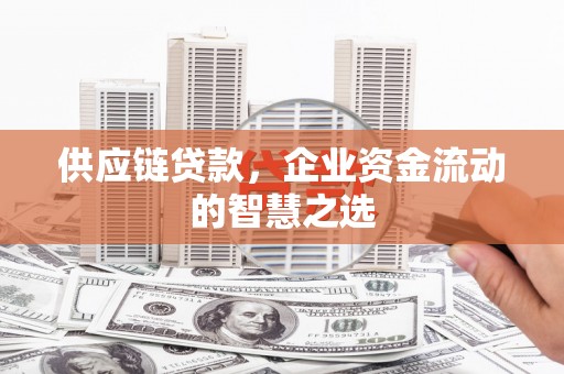 阳春供应链贷款，企业资金流动的智慧之选