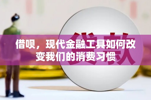 阳春借呗，现代金融工具如何改变我们的消费习惯